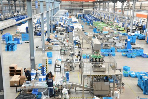 工业工程设计服务助力街道企业高效运转，日派快递16万件